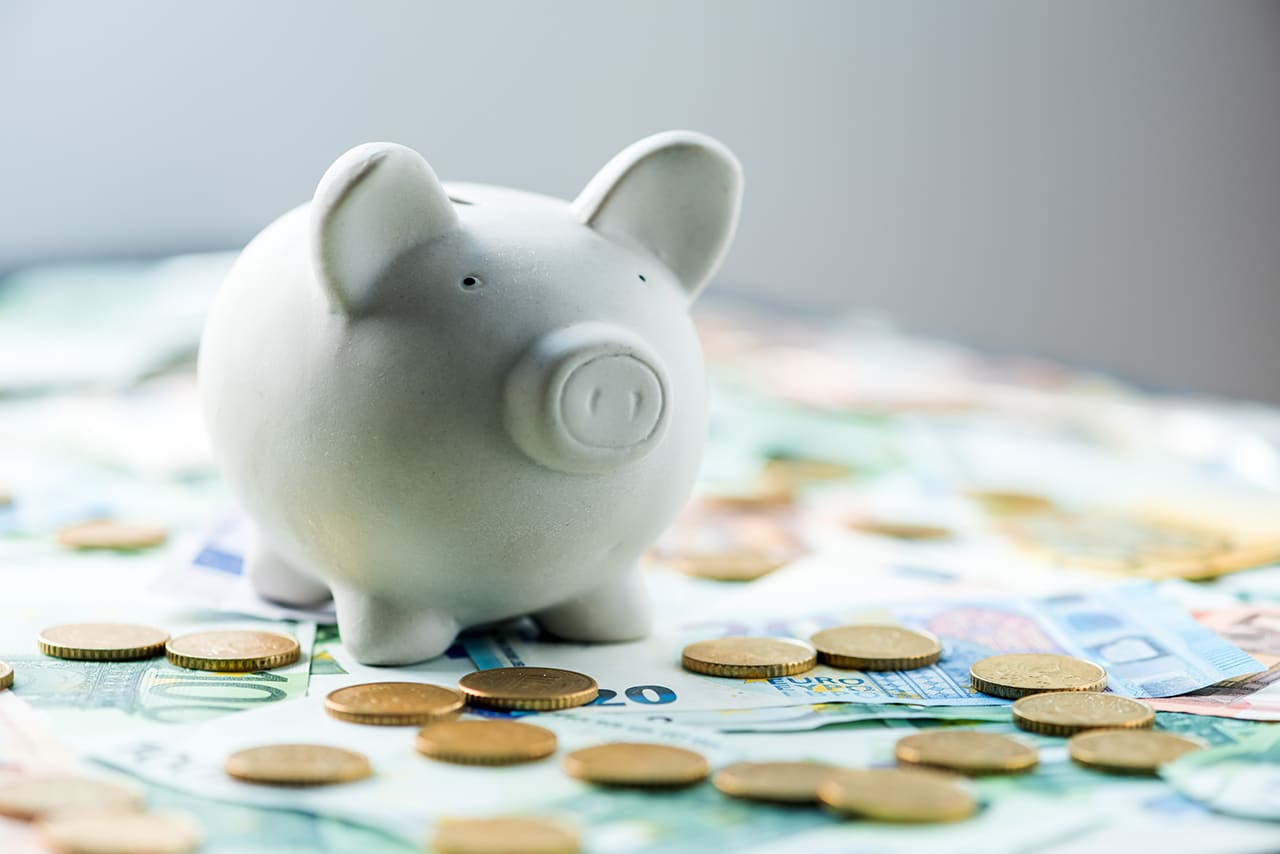 pig money box with cash closeup