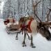 FILE PHOTO: Santa Claus rides in his sleigh as he prepares for Christmas in the Arctic Circle near Rovaniemi, Finland December 15, 2016. REUTERS/Pawel Kopczynski/File Photo