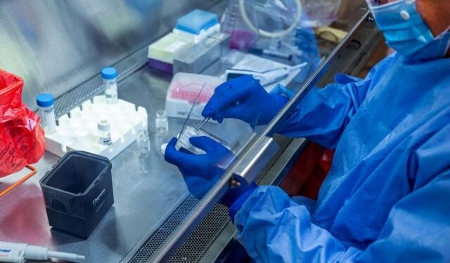 A researcher at the University of Pittsburgh works on a COVID-19 vaccine candidate, a fingertip-sized patch with dissolvable microscopic needles, in Pittsburgh, Pennsylvania, U.S., March 28, 2020.  UPMC/Handout via REUTERS ATTENTION EDITORS - THIS IMAGE WAS PROVIDED BY A THIRD PARTY. MANDATORY CREDIT. NO RESALES. NO ARCHIVES