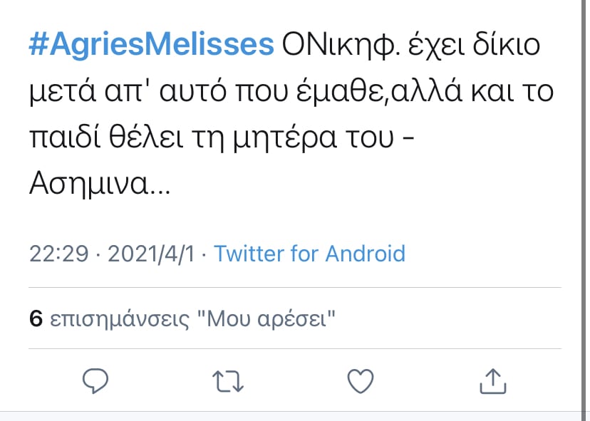 Πως σχολιάστηκε στο Twitter ο Νικηφόρος (Αναστάσιος Ροιλός) στις Άγριες Μέλισσες 