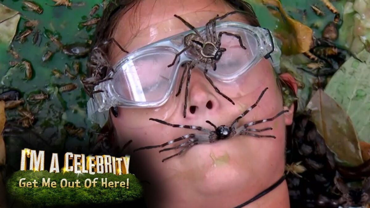 Πλάνο από το i'm a celebrity get me out of here